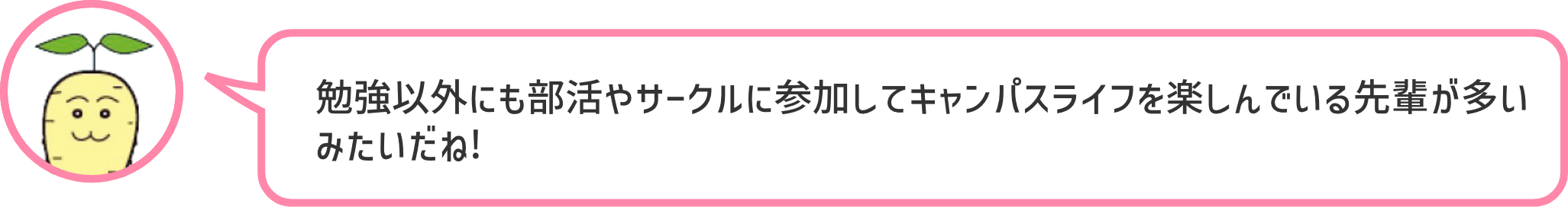 勉強以外にも部活やサークルに参加してキャンパスライフを楽しんでいる先輩が多いみたいだね!