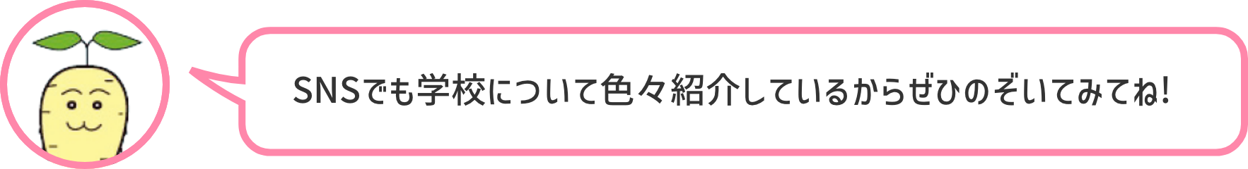 SNSでも学校について色々紹介しているからぜひのぞいてみてね!