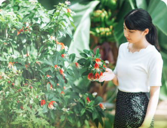 薬用植物園