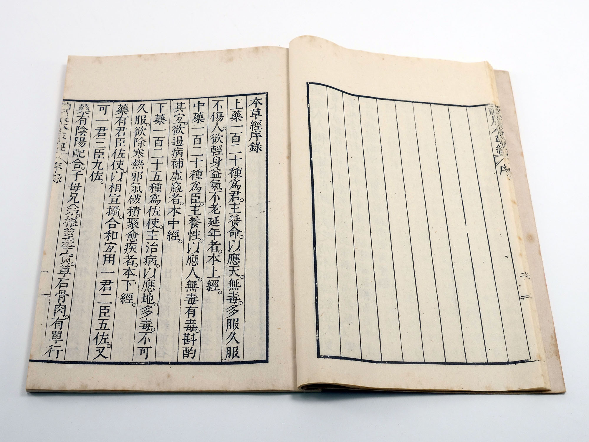図解 神農本草経 中国漢方薬経典 中医薬草図鑑 中国語書籍/彩色