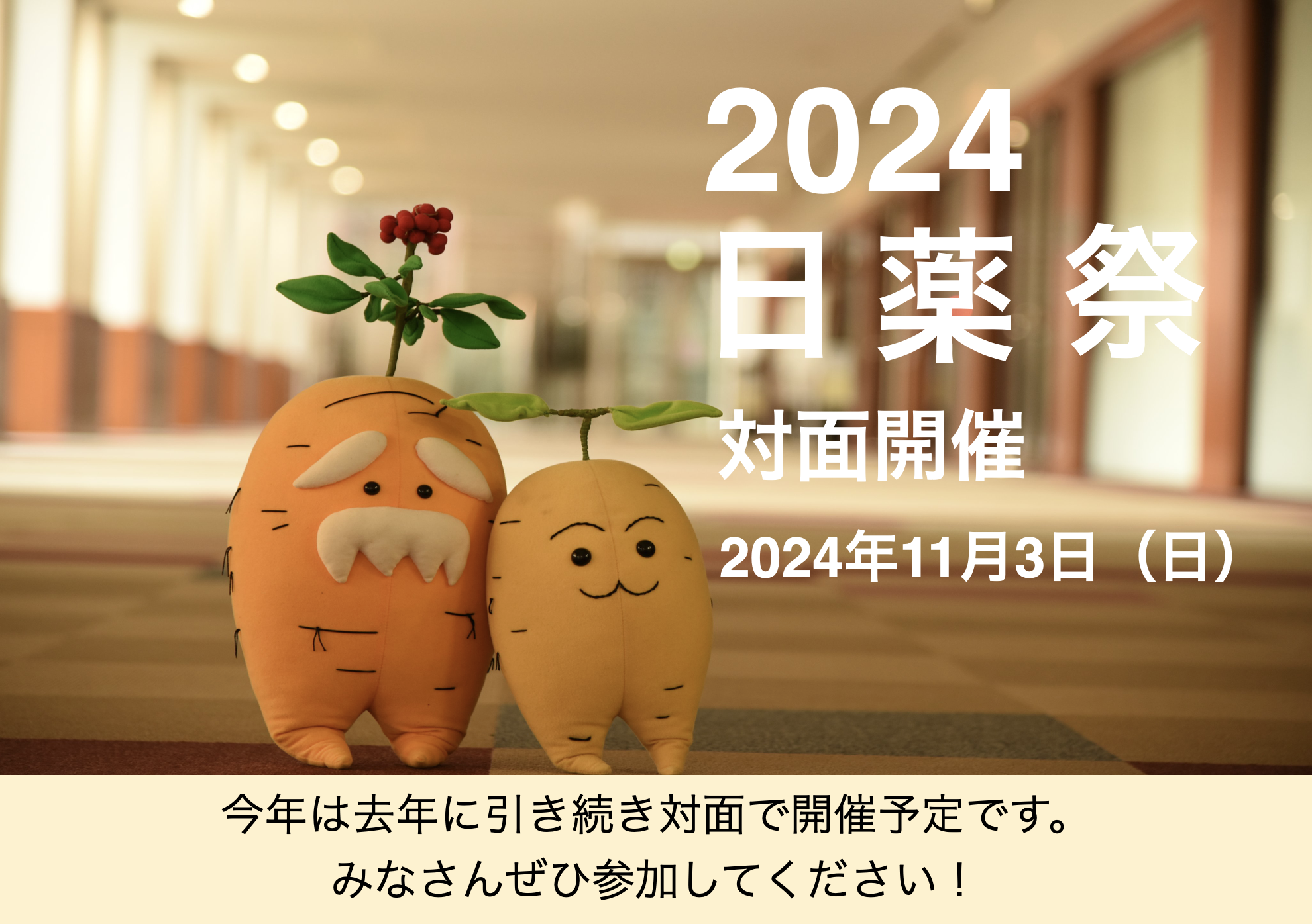 2024 日薬祭 2024年11月3日(日) 対面開催