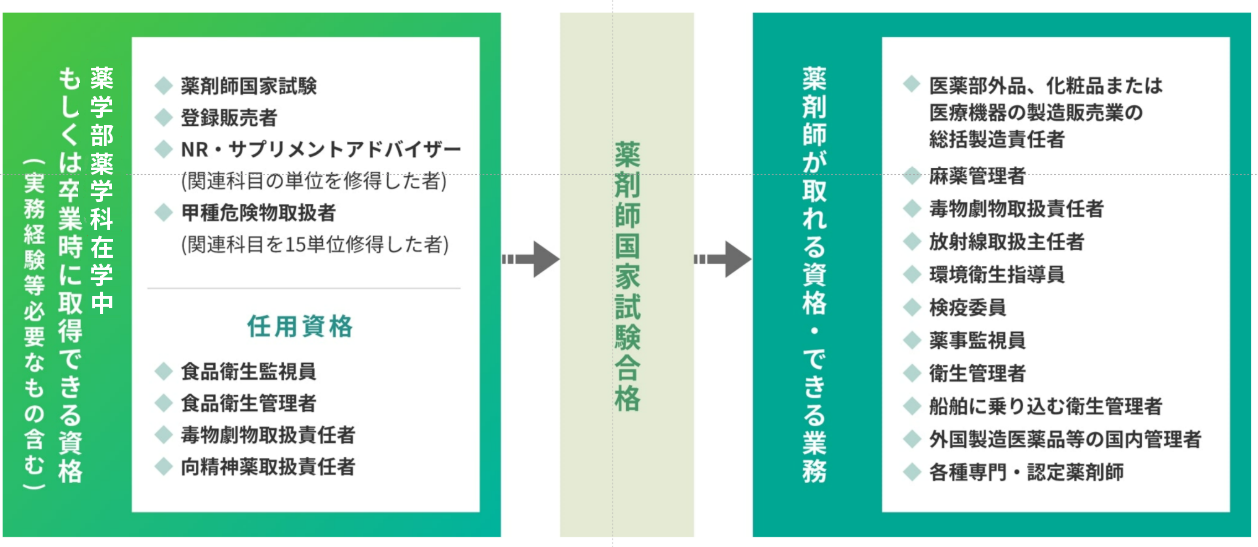 薬学科で取得できる資格と薬剤師国家試験合格後に取得できる資格